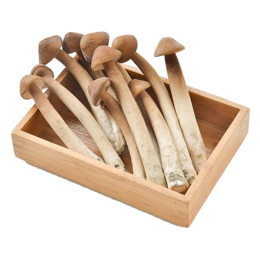 鸡枞菌 约100g/份 商品图2