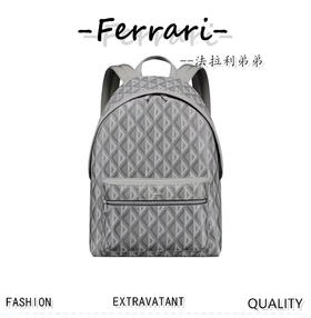 D家Rider双肩背包，经典的学院款式洋溢着活力！D家