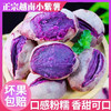 【预售·当季生鲜】9号发货，越南进口珍珠小紫薯 原生态种植，减脂美食、宝宝健康辅食，营养丰富，口感粉糯香甜少丝 商品缩略图0