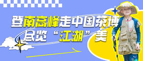 登南高峰走中国茶博，尽览“江湖”美景