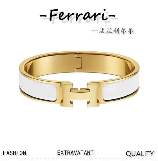 H家经典手镯 商品图0