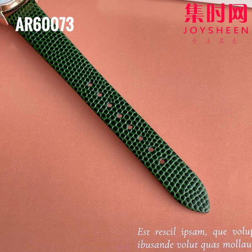 原单阿玛尼ARMANI AR60073 镂空机械女表 商品图6