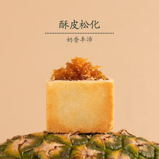 赵小姐的凤梨酥净含量120g糕点零食小吃厦门特产伴手礼中秋节送礼 商品图2