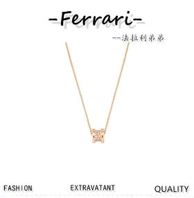 B家  钻圈小蛮腰项链小号