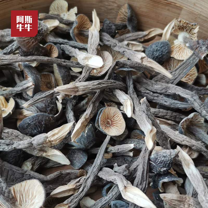 【凉山味道】美味干鸡枞菌150g装