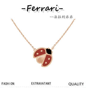 梵家瓢虫项链