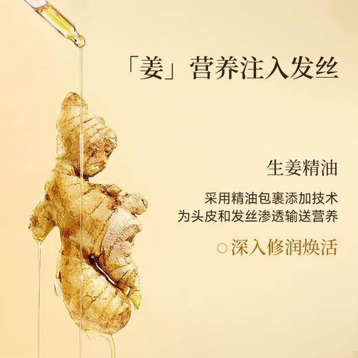 【双12大促】嘉媚乐参姜奢护蓬盈沁润精油护发素500ml  强韧发质 滋养修护 商品图4