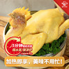 温氏供港鲜熟白切鸡1.8斤 冷冻食品 110天农家散养土鸡白斩鸡熟食 商品缩略图3