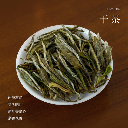 懂茶帝福鼎白茶吴洋山2023年碳焙白牡丹(50g) 商品图1