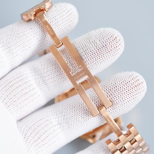 猎豹中号 商品图9