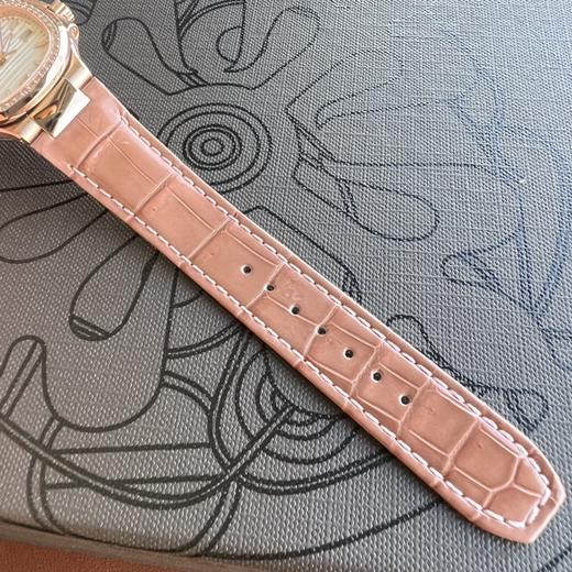 7010R鹦鹉螺 商品图7