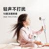 【自营】 追觅 高速吹风机 电吹风 负离子 恒温速干 韶光 G20 商品缩略图2