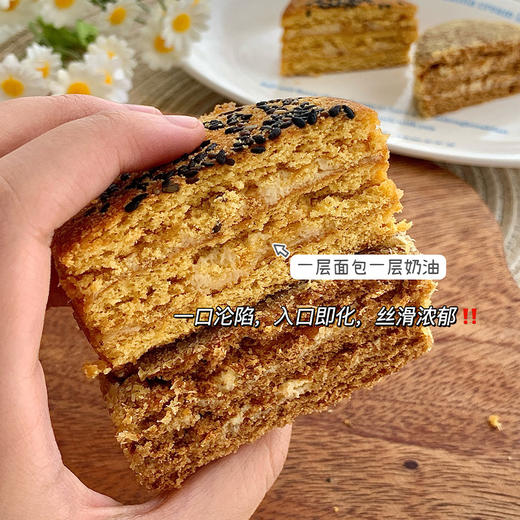 严选 | 熊三岁俄罗斯风味提拉米苏 60g/个 味甜松软 绵密细腻 口感丰富 商品图2