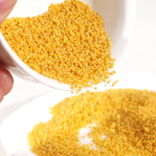 【自营】土极啦有机黄小米东北特产五谷杂粮月子米煮粥米 400g/袋*4	JUNONG-015 商品图4