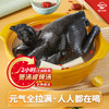 温氏天露土乌鸡净重2斤 七黑标准110天土乌鸡冷冻食品 乌鸡汤走地鸡 商品缩略图1