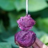 【预售·当季生鲜】9号发货，越南进口珍珠小紫薯 原生态种植，减脂美食、宝宝健康辅食，营养丰富，口感粉糯香甜少丝 商品缩略图3