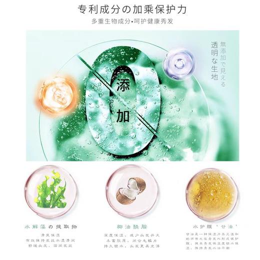蜜梨麒麟藻清爽洗发水(油性) 商品图1