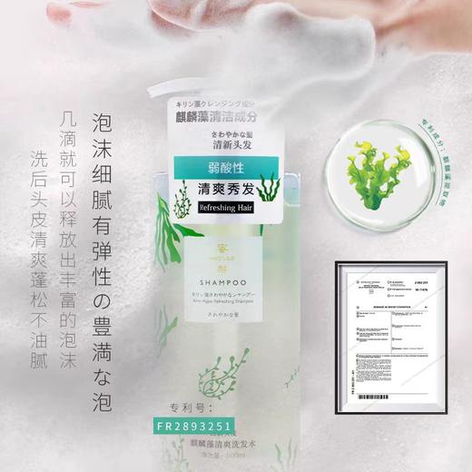 蜜梨麒麟藻清爽洗发水(油性) 商品图2