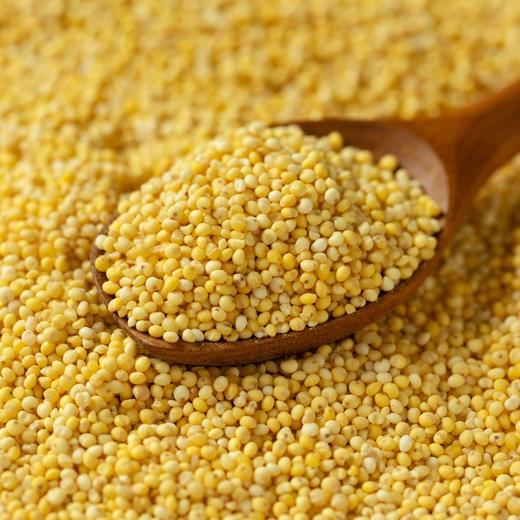 粮田拾趣 大黄米 商品图1