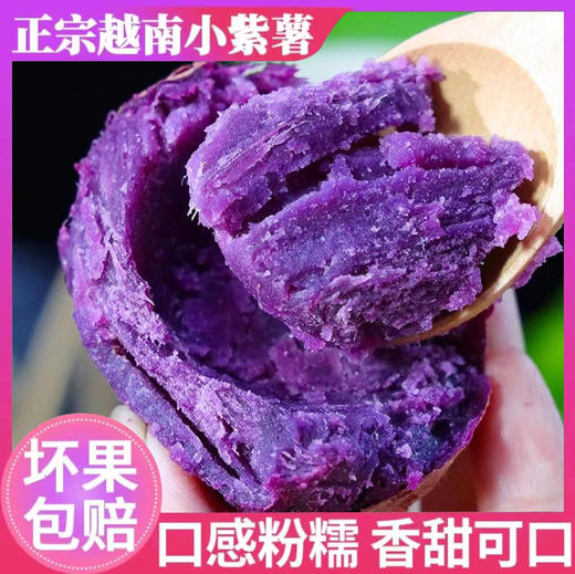 【预售·当季生鲜】9号发货，越南进口珍珠小紫薯 原生态种植，减脂美食、宝宝健康辅食，营养丰富，口感粉糯香甜少丝 商品图2