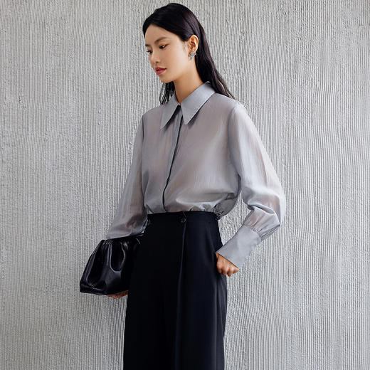 玳莎刺绣宽克夫袖衬衫女士2024年秋季新款通勤简约宽松天丝上衣  EC31304 商品图2