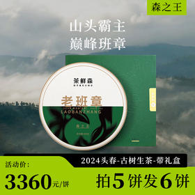 2024 老班章 森之王 春茶7折现货 送小饼品鉴礼盒 普洱茶 生茶 200g/饼