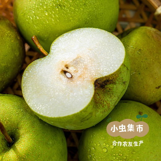生态玉露香梨 4.8斤/5斤 | 合作农友生产，来自河南平顶山，生产者：铁国伟 *【公平贸易农人定价】 商品图4