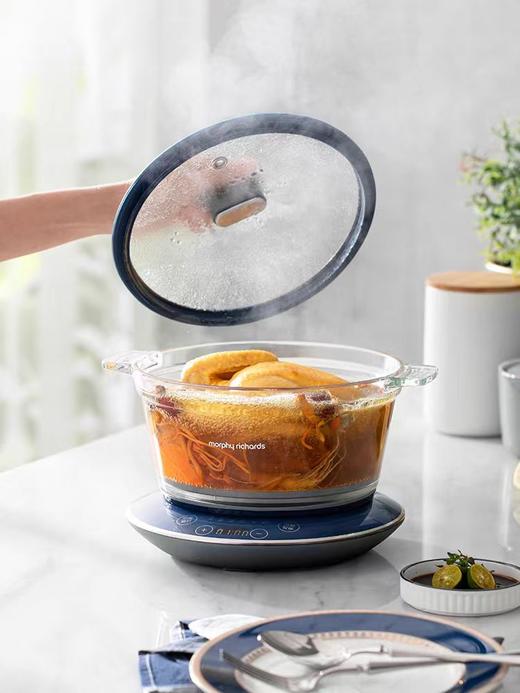 摩飞多功能养生锅3.5L 商品图1