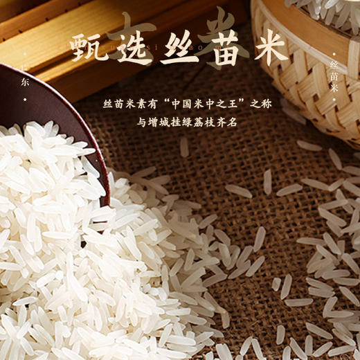 【雷州帮扶】凯越广东丝苗米 5KG/袋 商品图4
