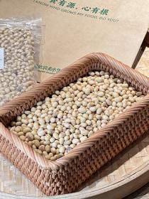 老品种黄豆·小草青青农场