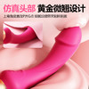 【女用器具】谜姬 潮起双头棒 震动 双头刺激 震动棒与后庭肛塞结合（可女同/可男女共用/可单人使用） 商品缩略图5