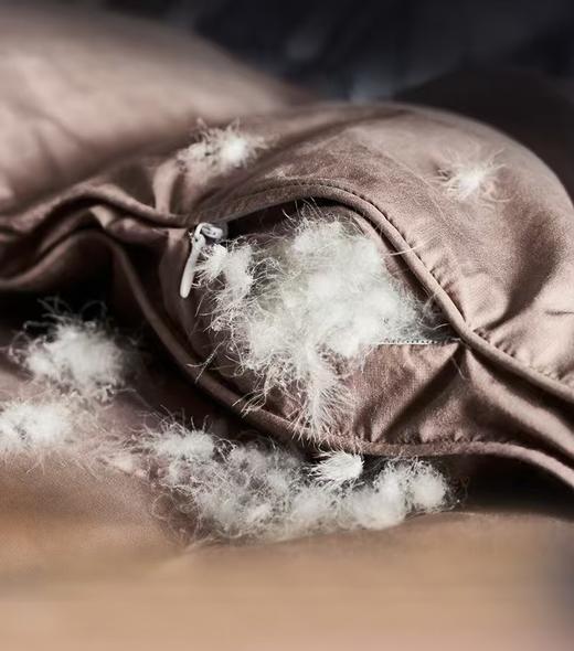 【富安娜】B座7F】匈牙利进口羽绒被/杰诺斯克 商品图4