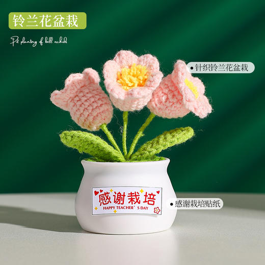 【教师节感谢栽培礼！向日葵小盆栽】教师节礼物向日葵花束小礼品送老师迷你永生花摆件创意桌面小盆栽，不止是摆件，更是艺术品。ry 商品图9