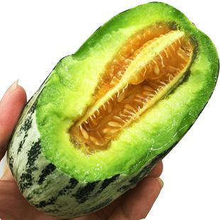 养派测试1 商品图0