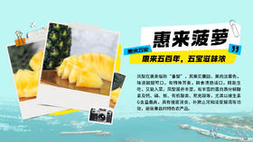 惠来五百年，五宝滋味浓｜惠来菠萝！