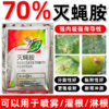 荣邦70%灭蝇胺杀虫蝇剂美洲斑潜蝇虫专用杀虫剂悬浮剂型正品农用 商品缩略图4