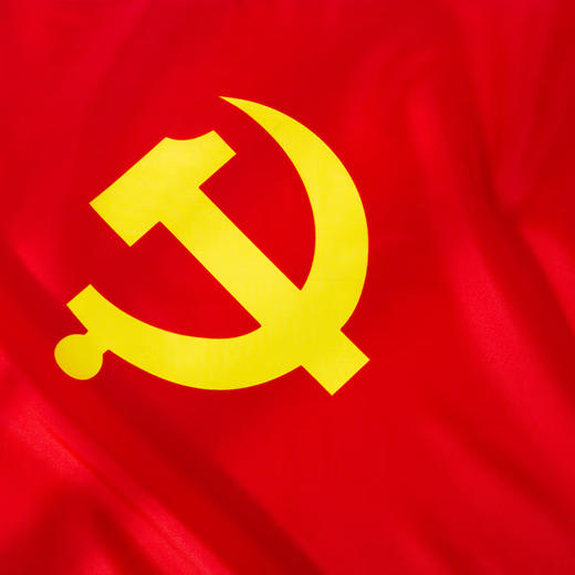 党旗 商品图2