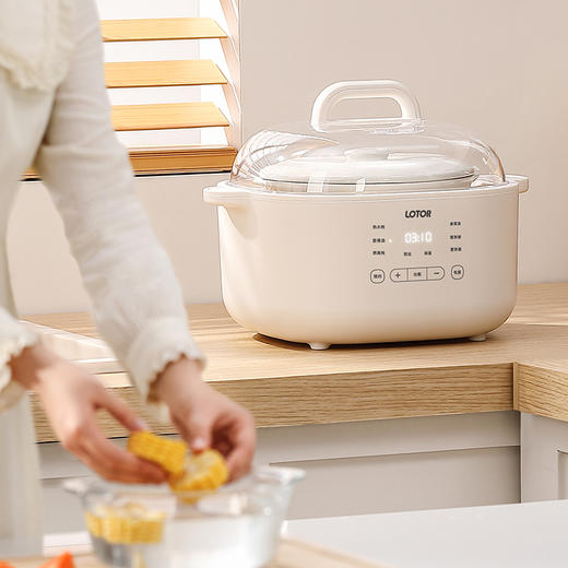 小浣熊电炖锅 商品图3