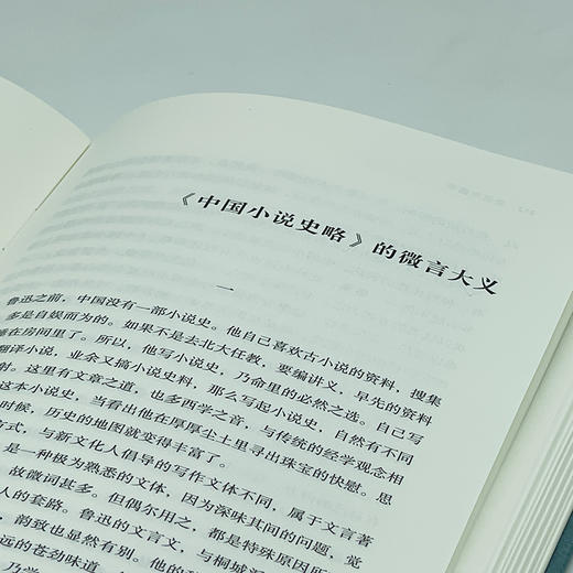 鲁迅与国学 （2025第二十届文津图书提名图书、2024中国出版集团年度好书）孙郁 著 商务印书馆 商品图14