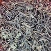 玲儿小菜 干野生蕨菜160g령이네반찬 건야생고사리160g 商品缩略图0