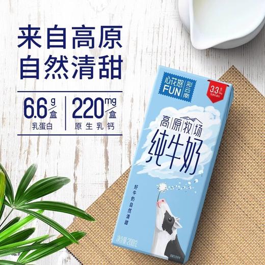 【到手5箱】新希望雪兰心花怒FUN高原纯牛奶200g*10盒/箱 (高原全脂纯牛奶/脱脂纯牛奶) 商品图1