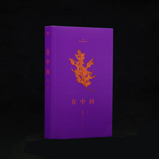 【签名本】在中间（罗衣首部随笔集，邀请你放慢步调，着眼日常细节，感受生命悸动）中英双语随笔×绘画摄影作品，Z世代关于自我、生活、女性、世界、艺术与美的思考 商品图4