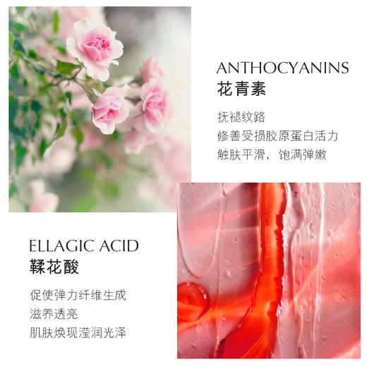 【肌肤光润，绽放光彩】碧琳红石榴玻尿酸焕颜补水六件套 商品图3