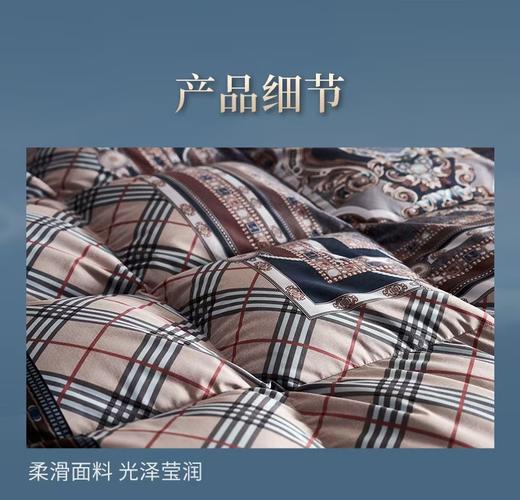 【富安娜】B座7F】匈牙利进口羽绒被/杰诺斯克 商品图8