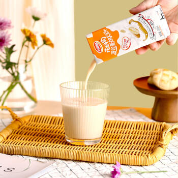 达利园花生牛奶 植物复合蛋白饮料早餐奶250ml*24盒手提整箱春游野餐 商品图2