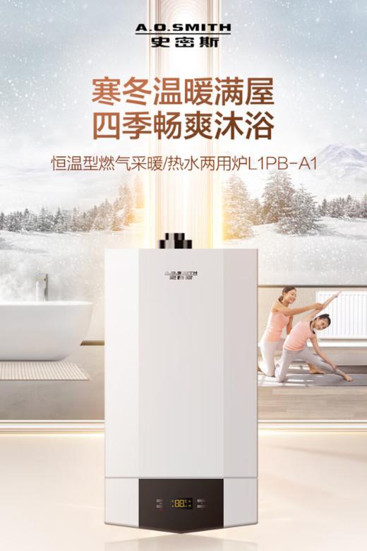 史密斯（12677）壁挂炉L1PB26A1 商品图0