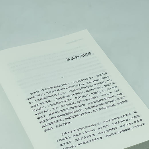 鲁迅与国学 （2025第二十届文津图书提名图书、2024中国出版集团年度好书）孙郁 著 商务印书馆 商品图10
