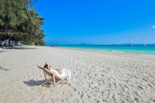 普吉岛火烈鸟 商品图5