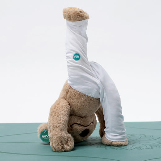 elina一恋普拉提百变瑜伽普拉提熊Ebear888 商品图1