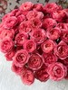 多头玫瑰花胭脂公主10支 商品缩略图3